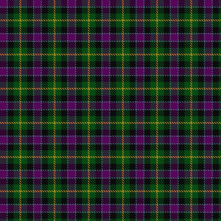 Tartan image: Nobiliary Fraternity. Click on this image to see a more detailed version.