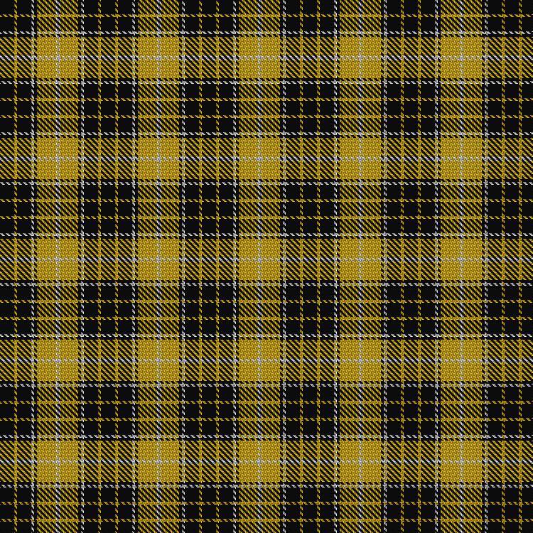 Tartan image: Nooten-Boom (Personal). Click on this image to see a more detailed version.