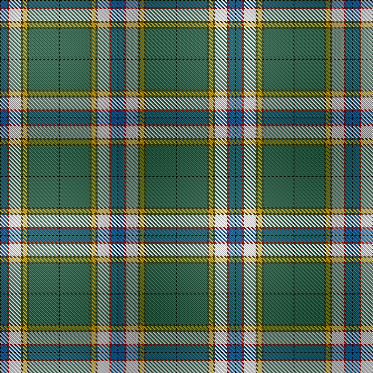Tartan image: Nor'Westers. Click on this image to see a more detailed version.