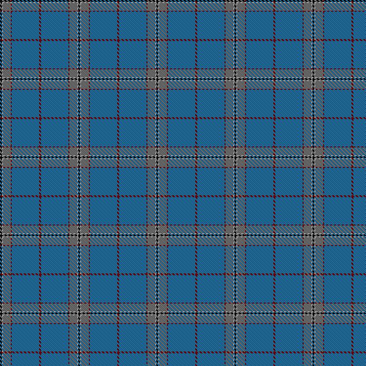 Tartan image: Norris Hunting. Click on this image to see a more detailed version.
