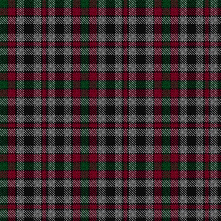Tartan image: Borthwick. Click on this image to see a more detailed version.