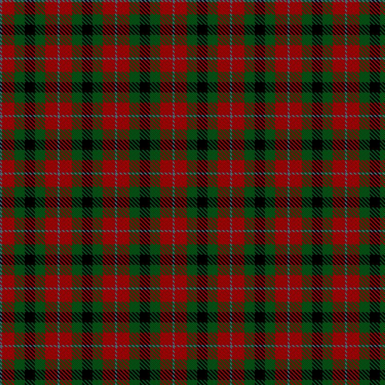 Tartan image: Norwich No.028. Click on this image to see a more detailed version.