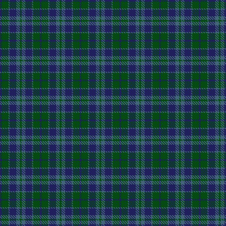 Tartan image: Norwich No.029. Click on this image to see a more detailed version.