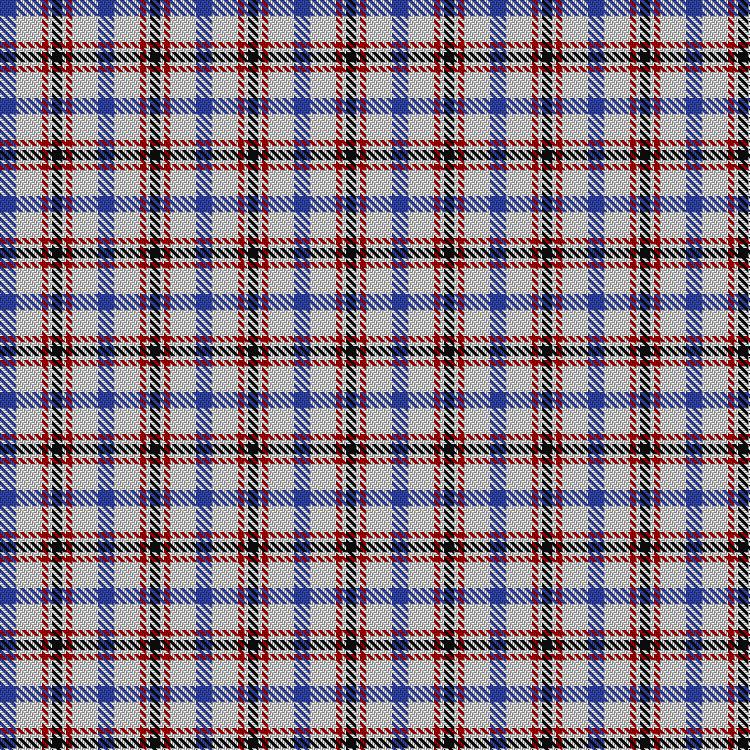 Tartan image: Boswell Dress (Personal). Click on this image to see a more detailed version.