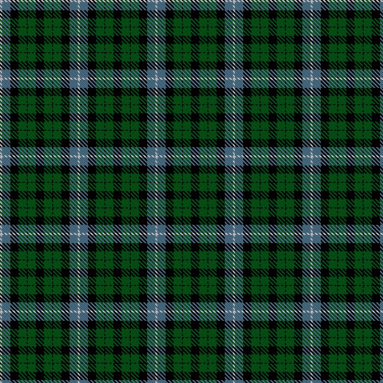 Tartan image: Norwich No.031. Click on this image to see a more detailed version.