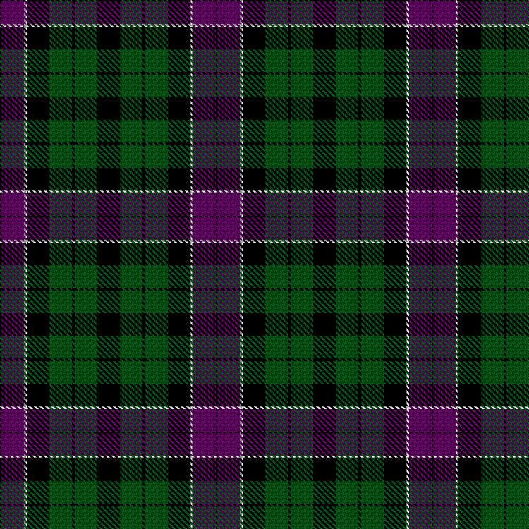 Tartan image: Norwich No.033. Click on this image to see a more detailed version.