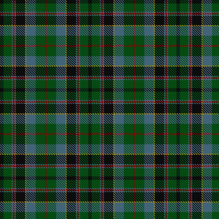 Tartan image: Norwich No.038. Click on this image to see a more detailed version.