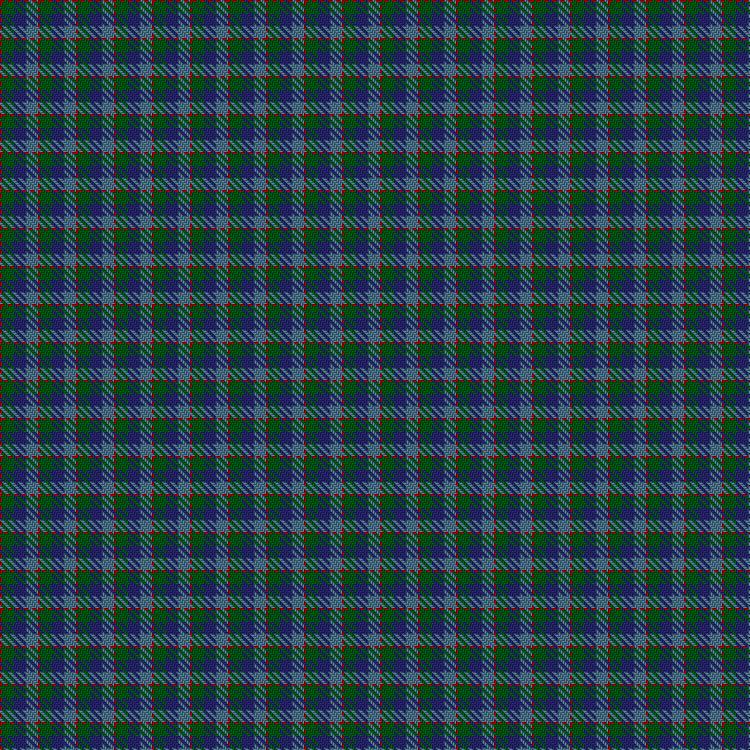 Tartan image: Norwich No.040. Click on this image to see a more detailed version.