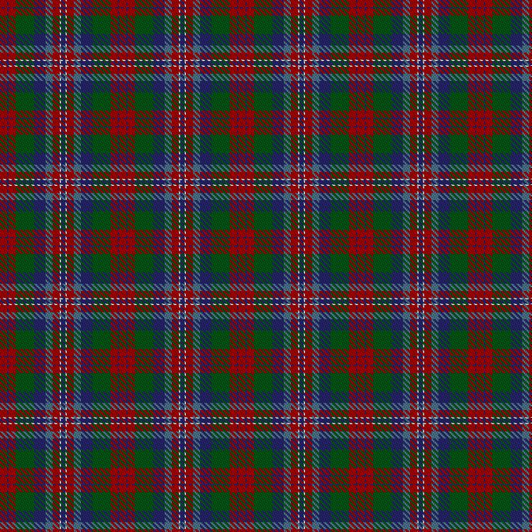 Tartan image: Norwich No.056. Click on this image to see a more detailed version.