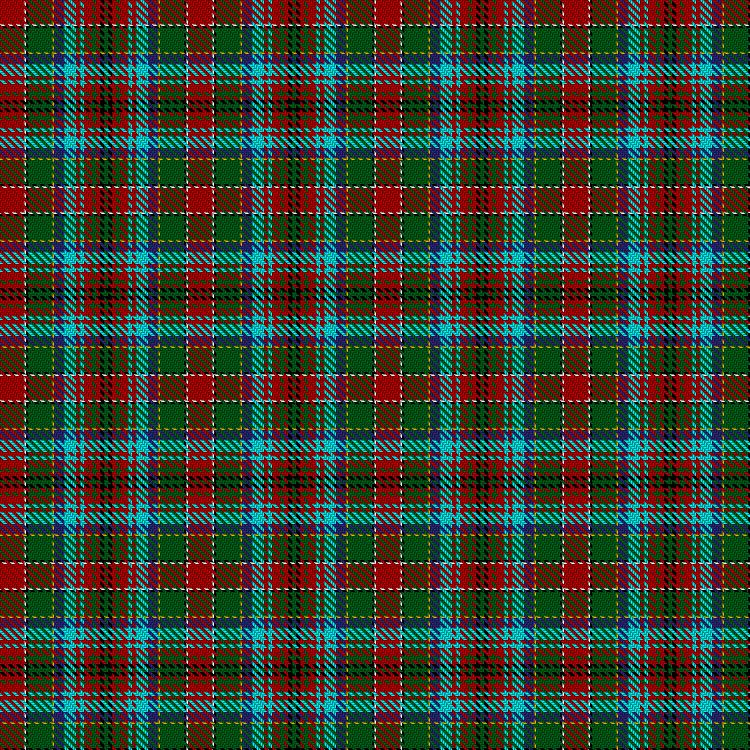 Tartan image: Norwich No.058. Click on this image to see a more detailed version.