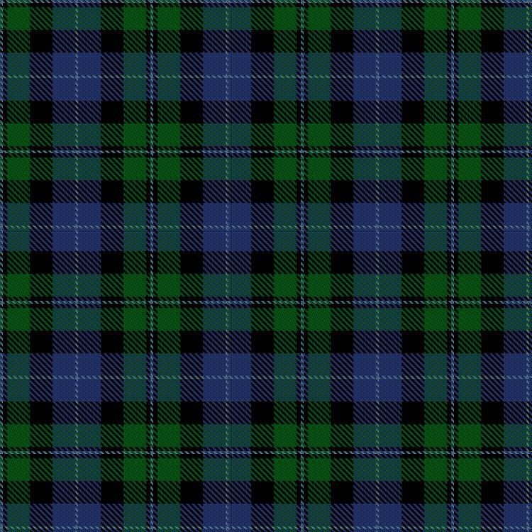 Tartan image: Norwich No.059. Click on this image to see a more detailed version.