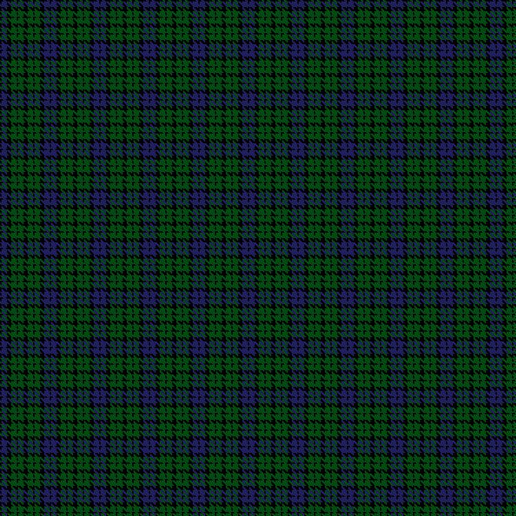 Tartan image: Norwich No.063. Click on this image to see a more detailed version.