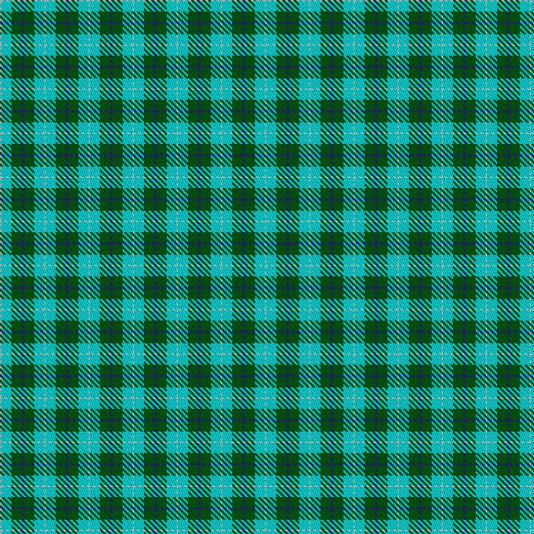Tartan image: Norwich No.078. Click on this image to see a more detailed version.