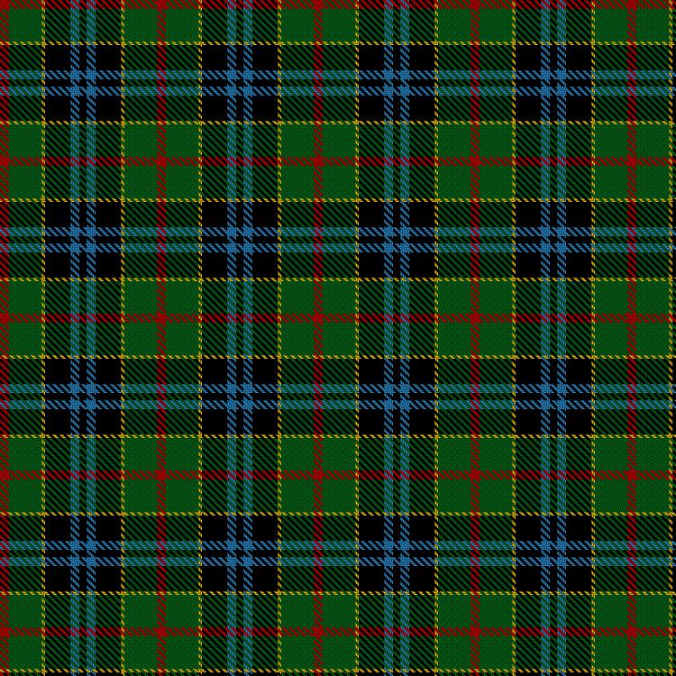 Tartan image: Norwich No.079. Click on this image to see a more detailed version.