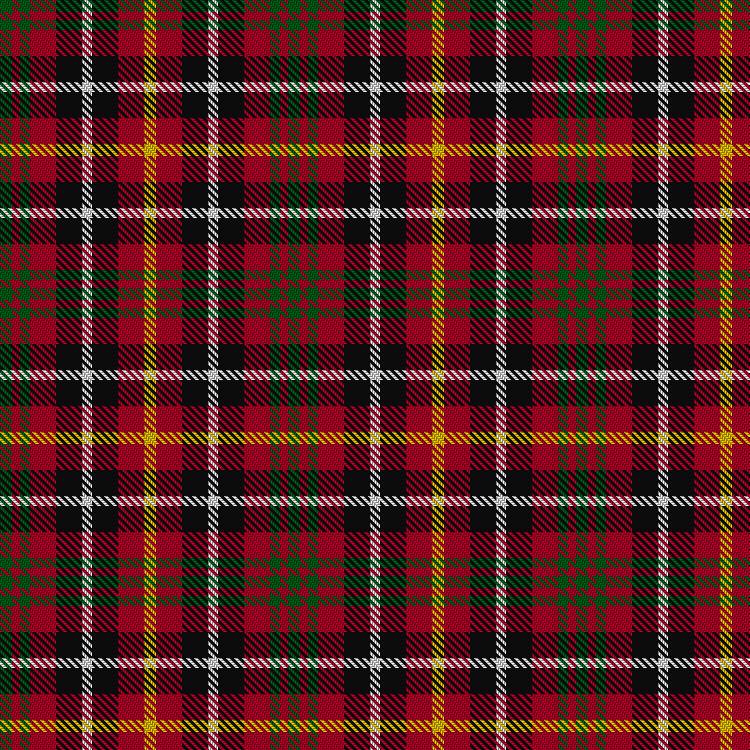 Tartan image: Akins Red Dress. Click on this image to see a more detailed version.