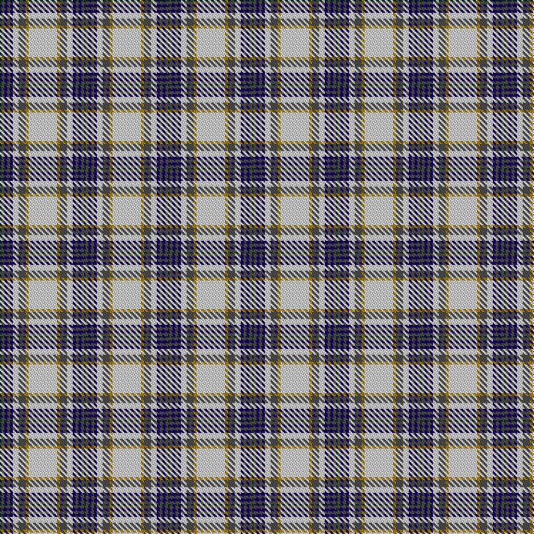 Tartan image: Boucherville Dress. Click on this image to see a more detailed version.
