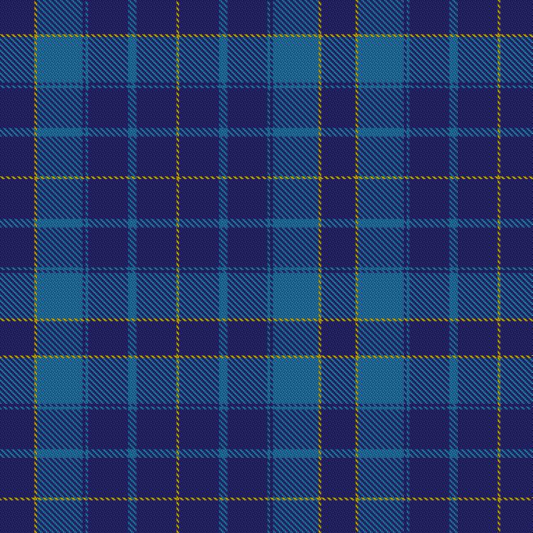 Tartan image: Orlando Police Department. Click on this image to see a more detailed version.