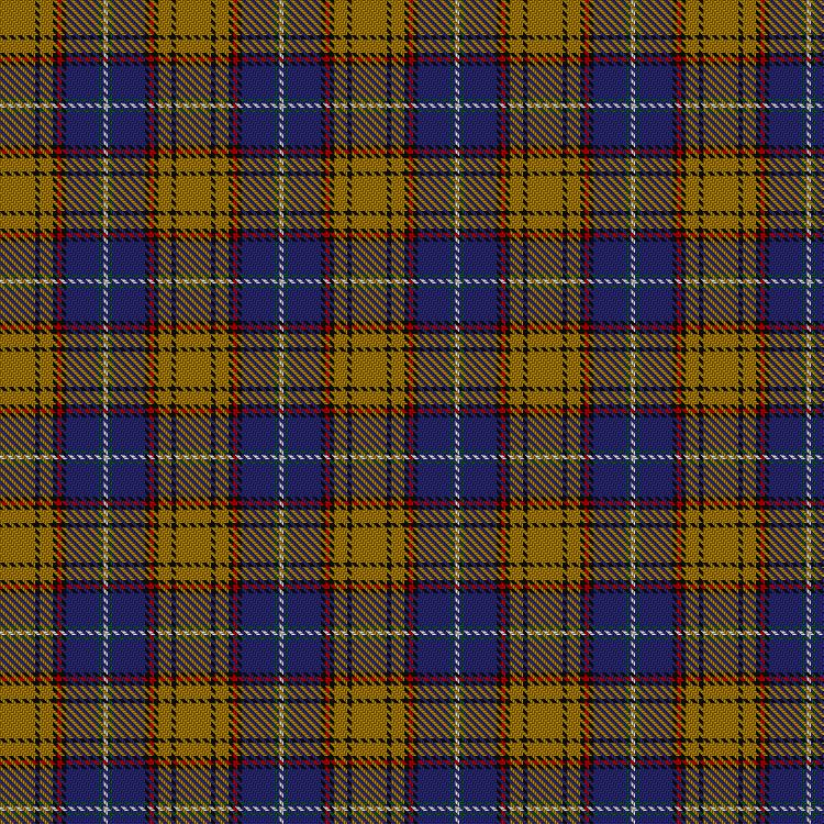 Tartan image: Otago. Click on this image to see a more detailed version.