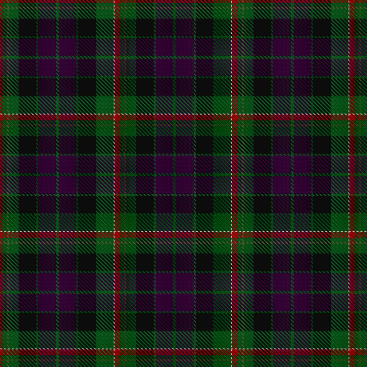Tartan image: Paget (Personal). Click on this image to see a more detailed version.