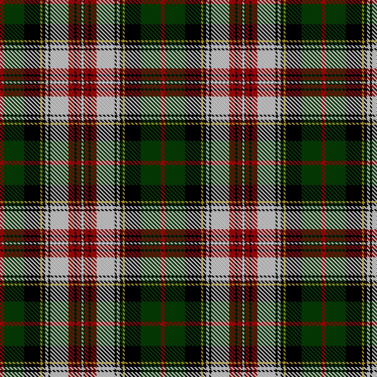 Tartan image: Palmer, Edward. Click on this image to see a more detailed version.