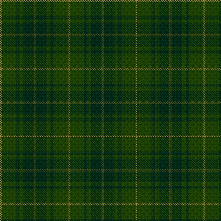Tartan image: Park Estate. Click on this image to see a more detailed version.
