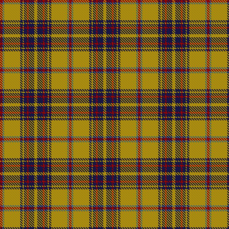 Tartan image: Bracken. Click on this image to see a more detailed version.