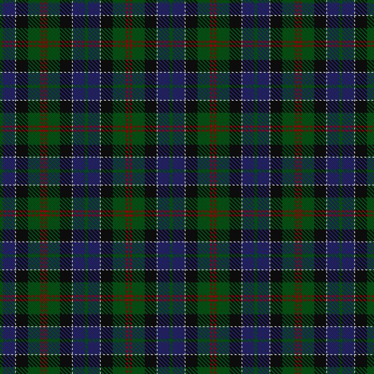 Tartan image: Paterson (Personal). Click on this image to see a more detailed version.