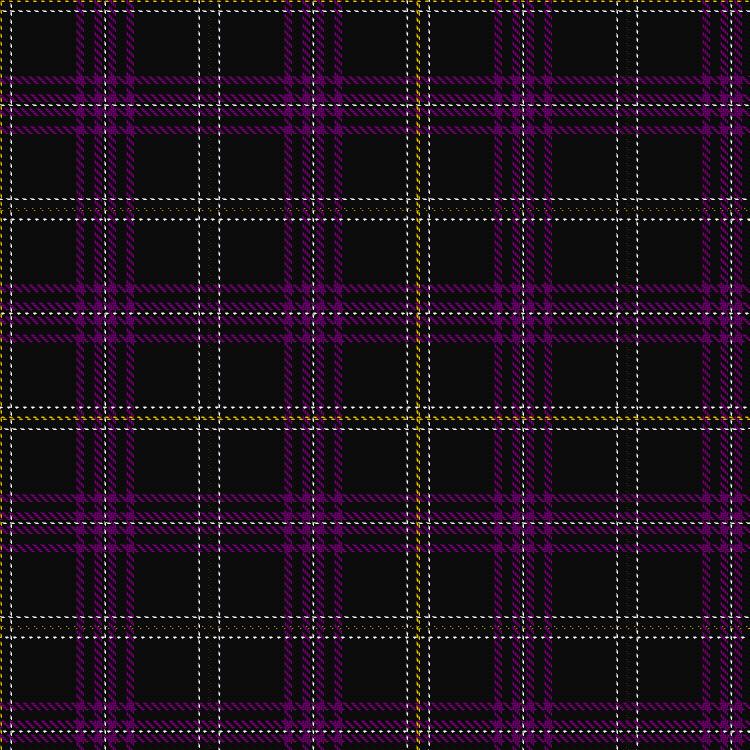 Tartan image: Payne of Wallins Creek (Personal). Click on this image to see a more detailed version.
