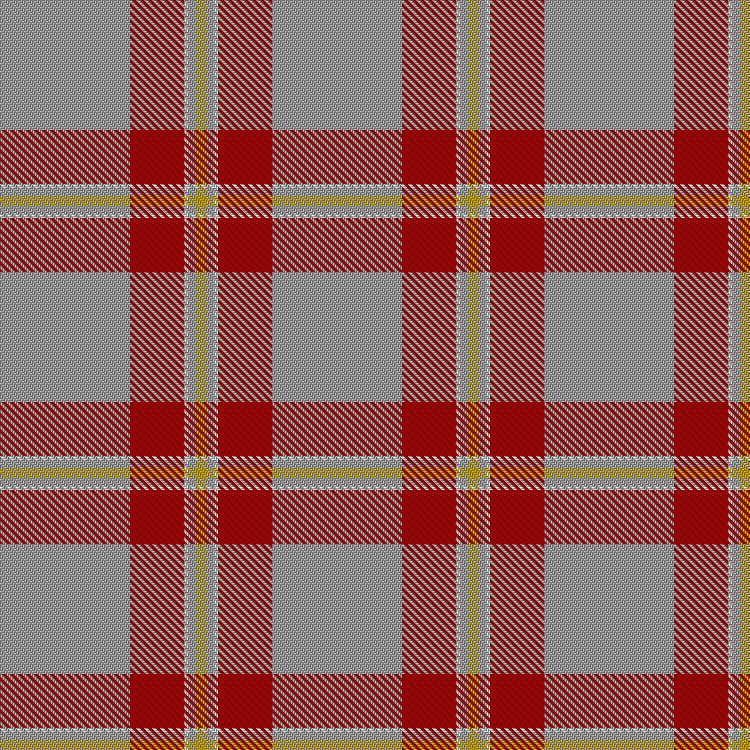 Tartan image: Perry Arisaid (Personal). Click on this image to see a more detailed version.