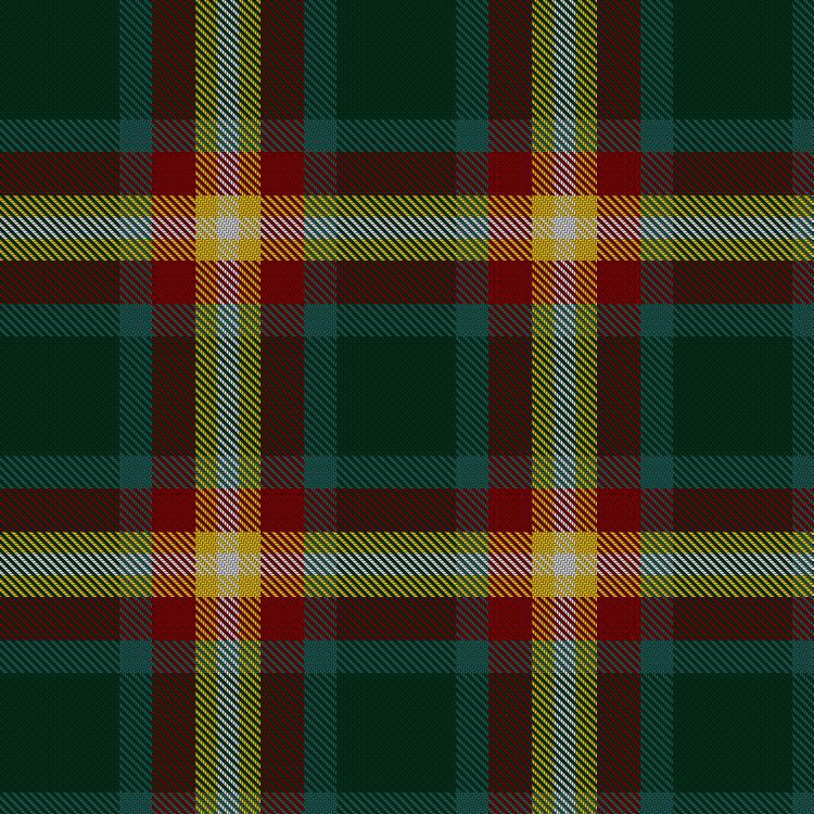 Tartan image: Phinn (Personal). Click on this image to see a more detailed version.
