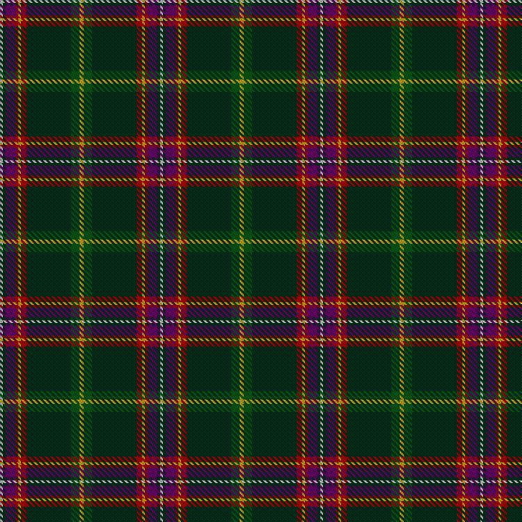 Tartan image: Pienaar (Personal). Click on this image to see a more detailed version.