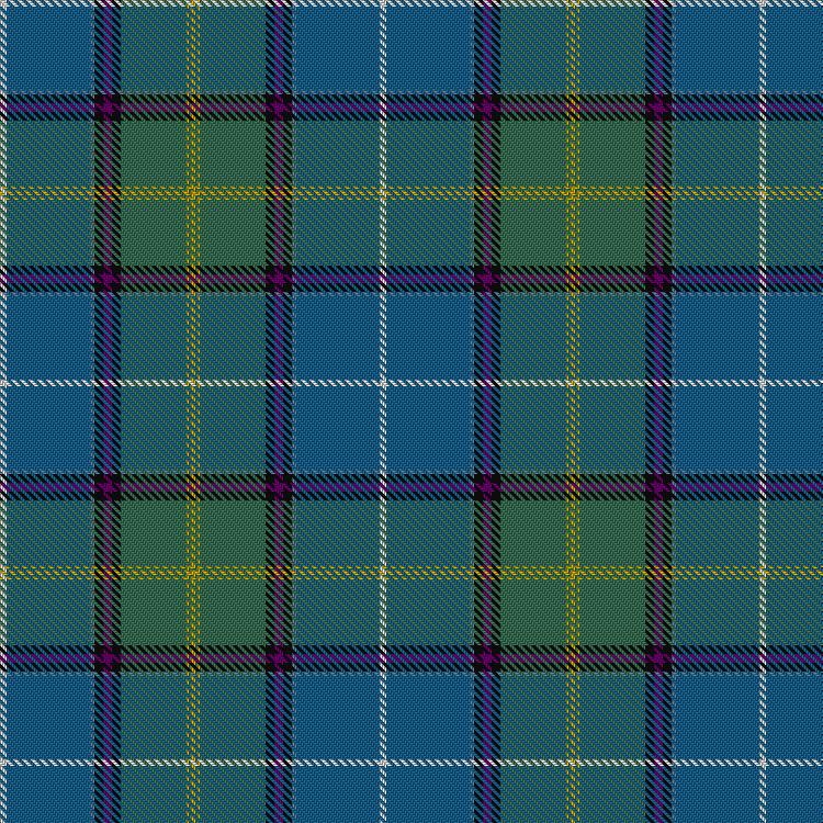 Tartan image: Pinewoods Jubilee. Click on this image to see a more detailed version.