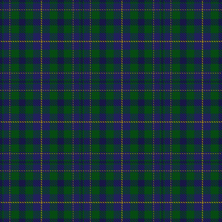 Tartan image: Pinney's of Scotland. Click on this image to see a more detailed version.