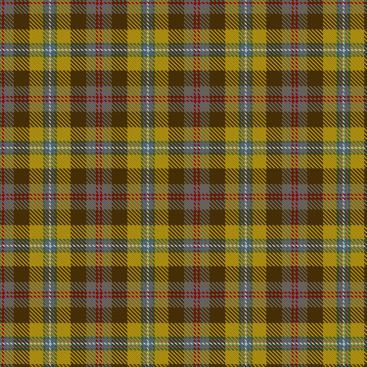 Tartan image: Porcupine. Click on this image to see a more detailed version.