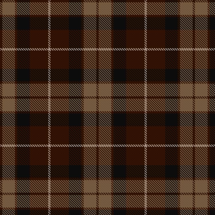 Tartan image: Portrait, The. Click on this image to see a more detailed version.