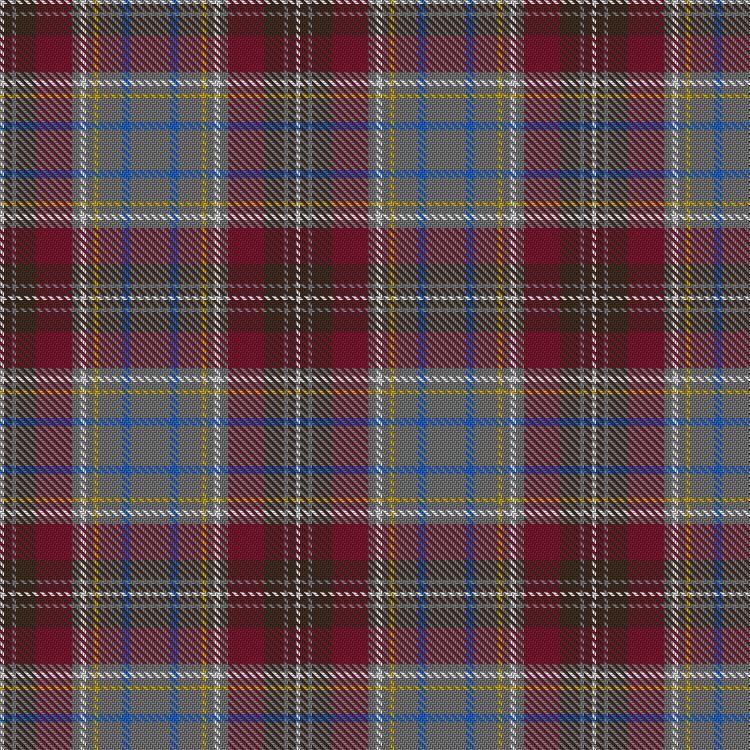 Tartan image: Portree. Click on this image to see a more detailed version.