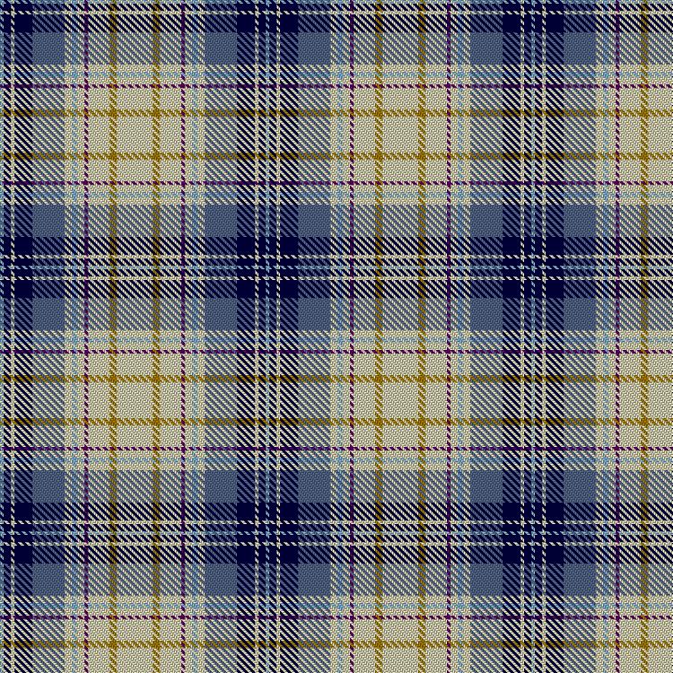 Tartan image: Portree Blue (Dance). Click on this image to see a more detailed version.
