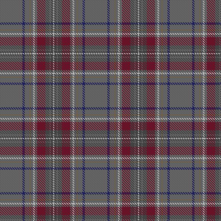 Tartan image: Portree Check. Click on this image to see a more detailed version.