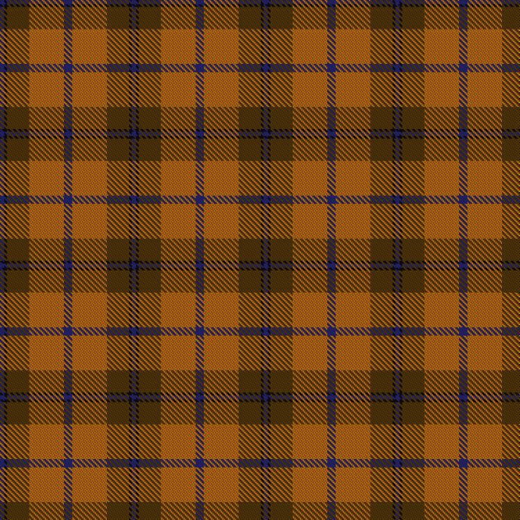 Tartan image: Prince of Orange #2. Click on this image to see a more detailed version.