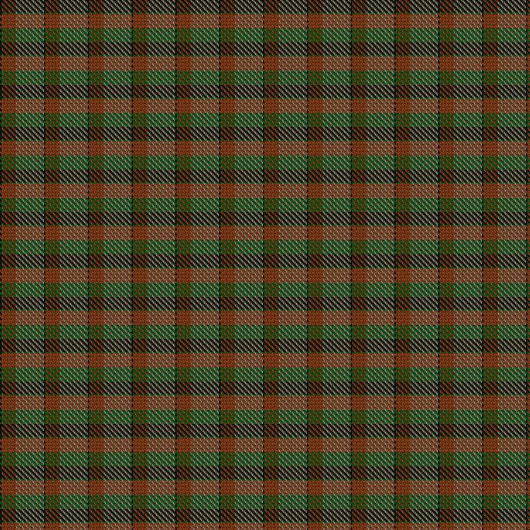 Tartan image: Braveheart. Click on this image to see a more detailed version.