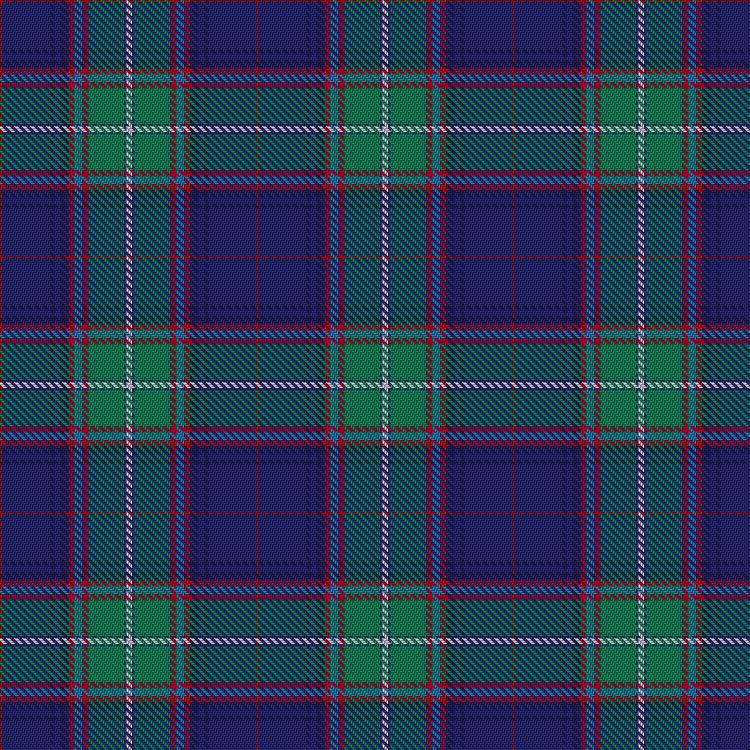 Tartan image: Queen of the South Football Club. Click on this image to see a more detailed version.