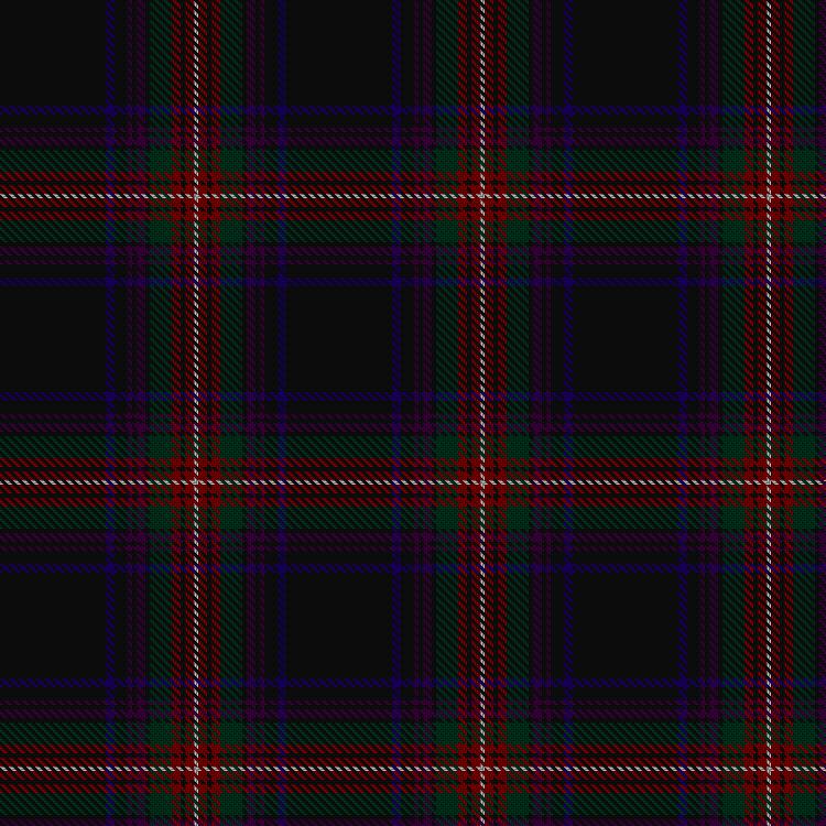 Tartan image: Braveheart Warrior. Click on this image to see a more detailed version.