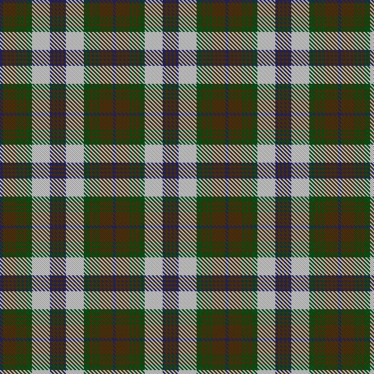 Tartan image: Raibert Check. Click on this image to see a more detailed version.