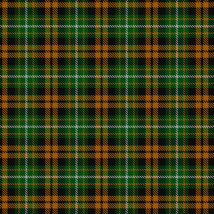 Tartan image: Ramsay (Orange). Click on this image to see a more detailed version.