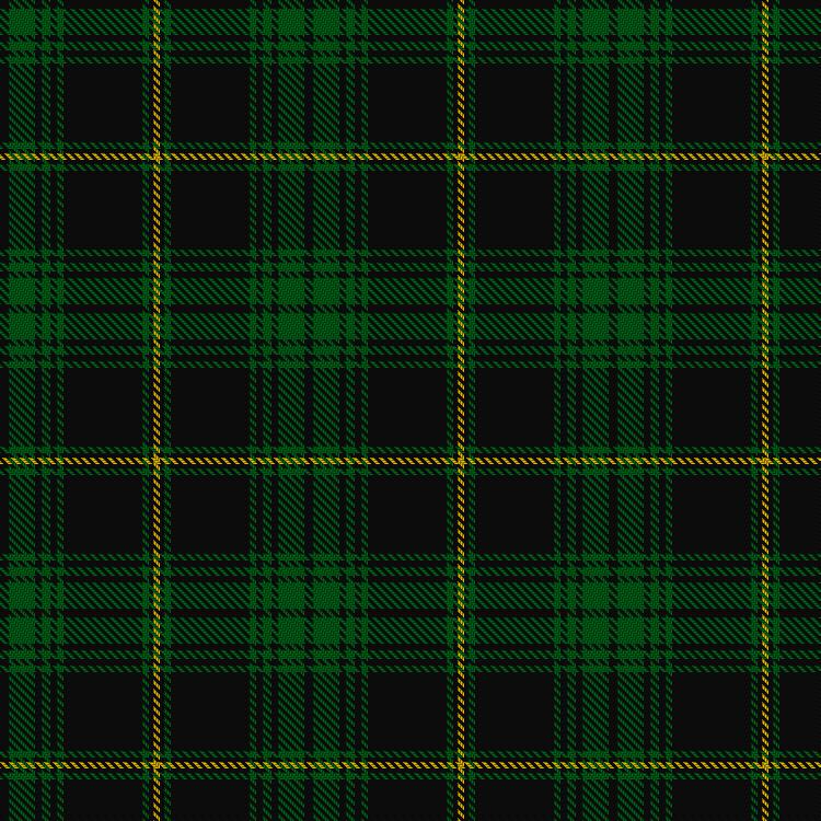 Tartan image: Reagan (Personal). Click on this image to see a more detailed version.