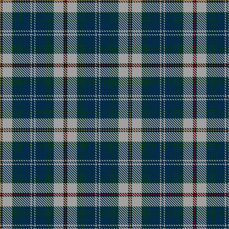 Tartan image: Recovery Dress. Click on this image to see a more detailed version.
