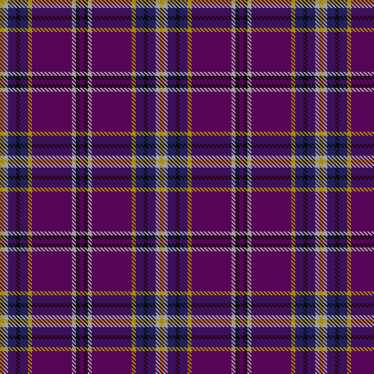 Tartan image: Regan. Click on this image to see a more detailed version.
