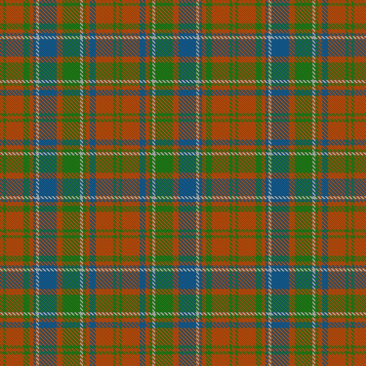 Tartan image: Reid of Straloch (Personal). Click on this image to see a more detailed version.
