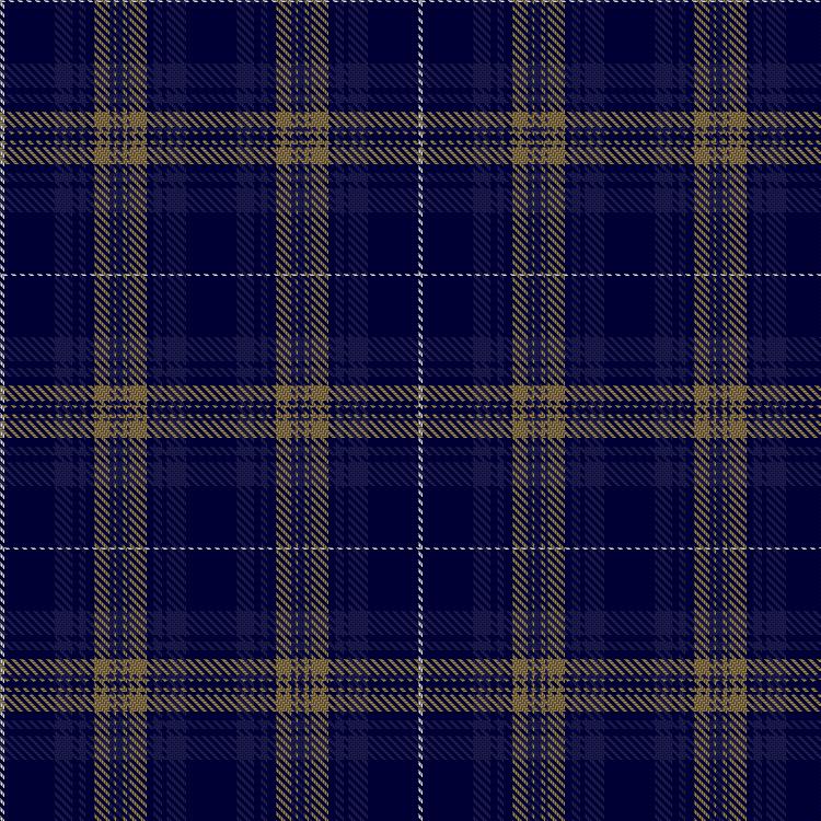 Tartan image: Rhys of Wales. Click on this image to see a more detailed version.