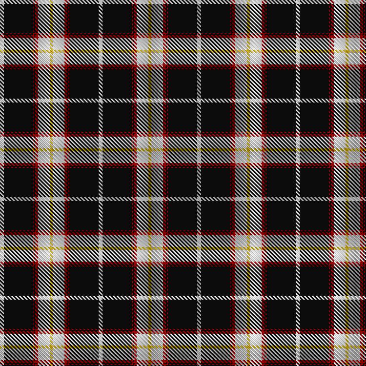 Tartan image: Richecourt, Baron of (Personal). Click on this image to see a more detailed version.